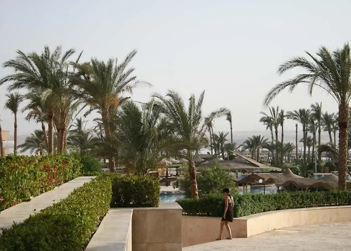 Pyramisa Sahl Hasheesh - Studio